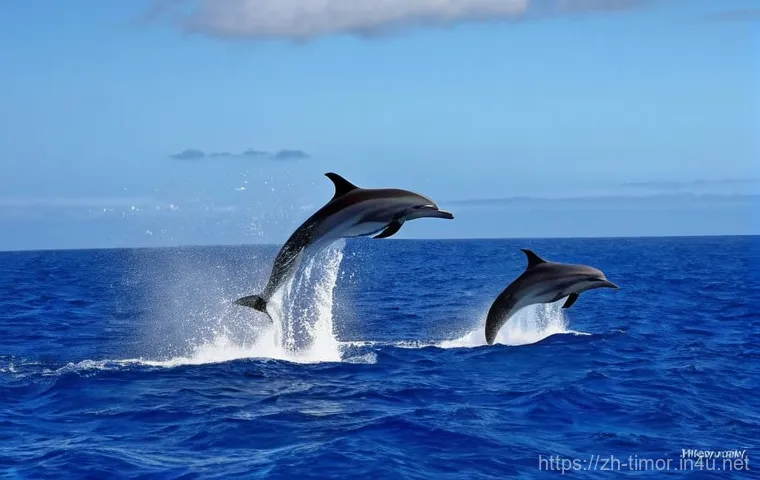 동티모르 야생 동물 - **Vibrant Atauro Island Coral Reef:** A stunning underwater scene showcasing the exceptional biodive... 동티모르 야생 동물 - **Vibrant Atauro Island Coral Reef:** A stunning underwater scene showcasing the exceptional biodive...